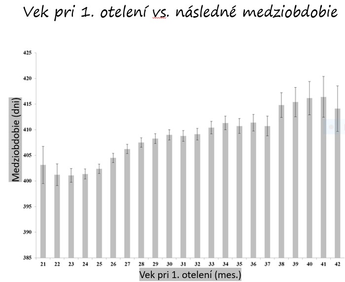 vek vs mo